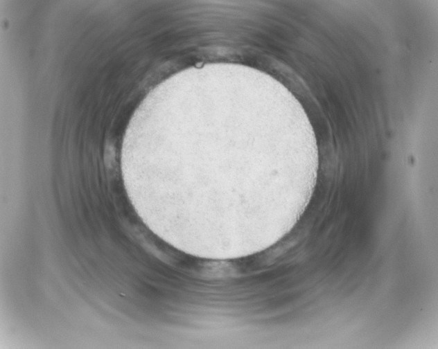 X0000085240087200704092034