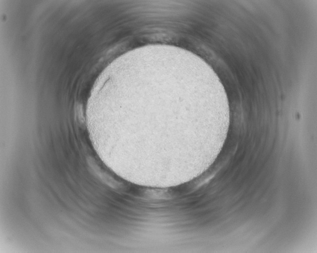 X0000085240089200704092034