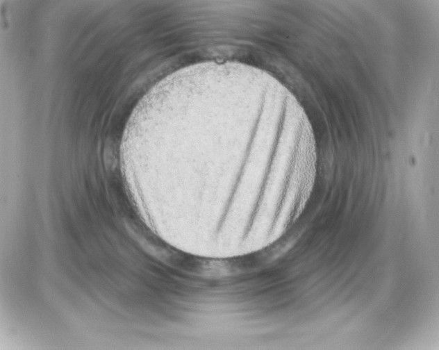 X0000085240091200704092034