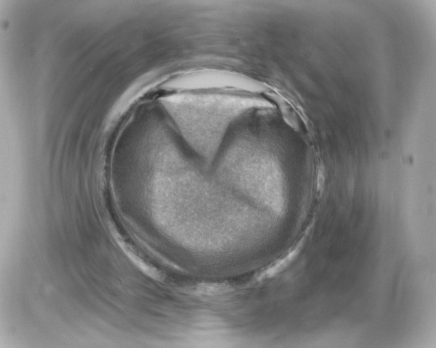 X0000085240101200704092033