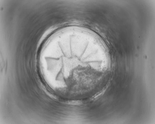 X0000085240102200704092033