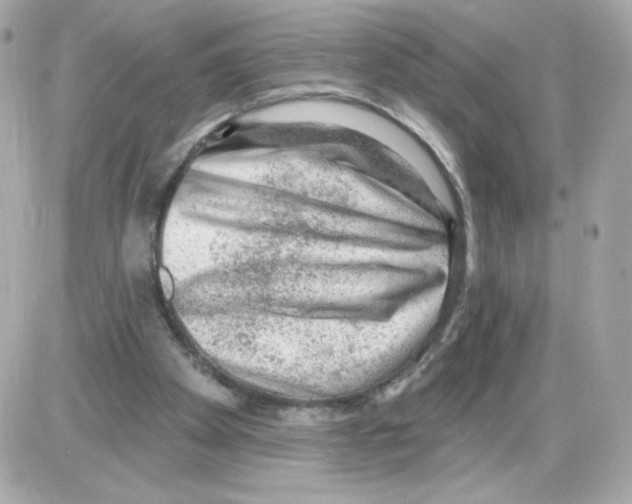 X0000085240105200704092033