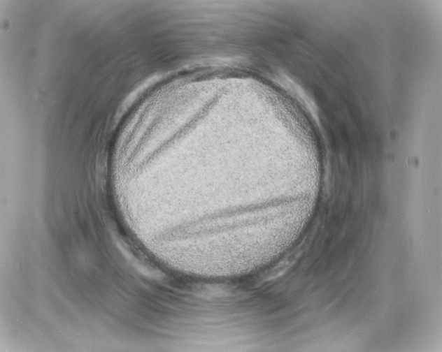 X0000085240107200704092033