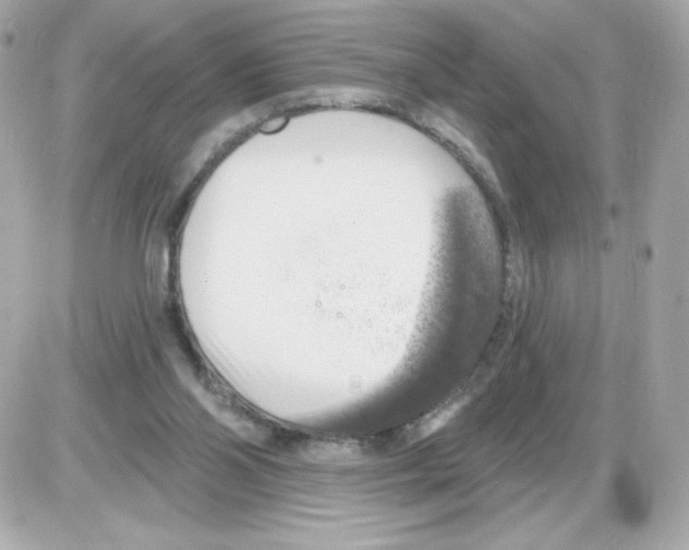 X0000085240110200704092033