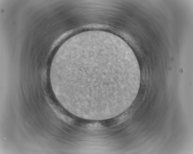 X0000085240112200704092033