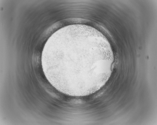 X0000085240119200704092033