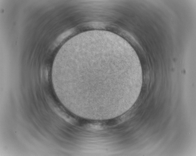X0000085240120200704092033
