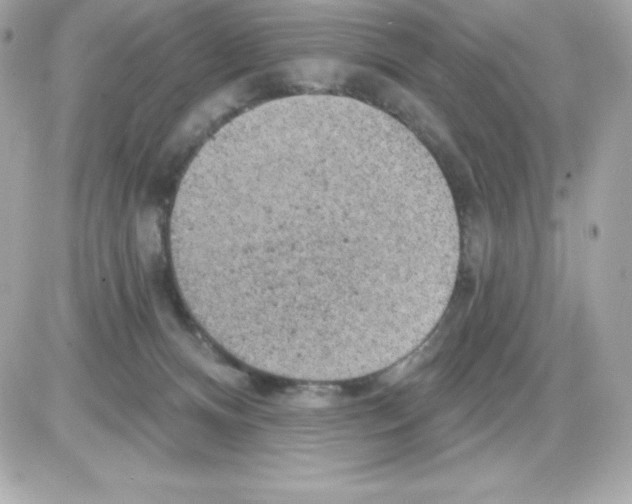 X0000085240128200704092033