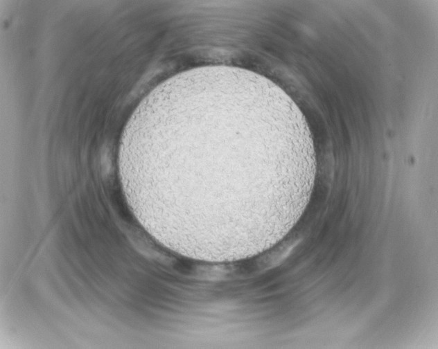 X0000085240131200704092033