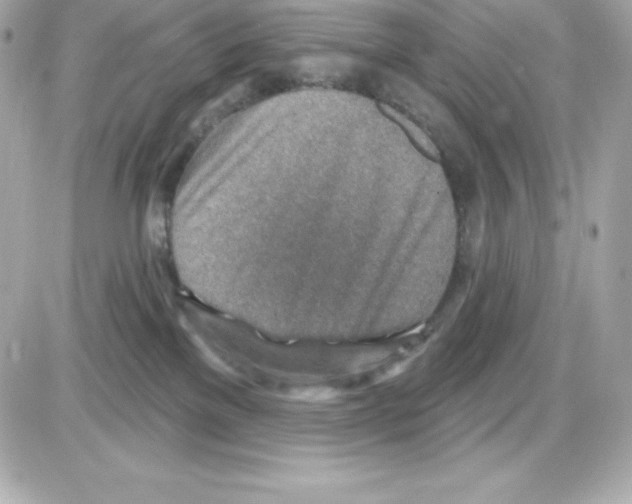 X0000085240137200704092033
