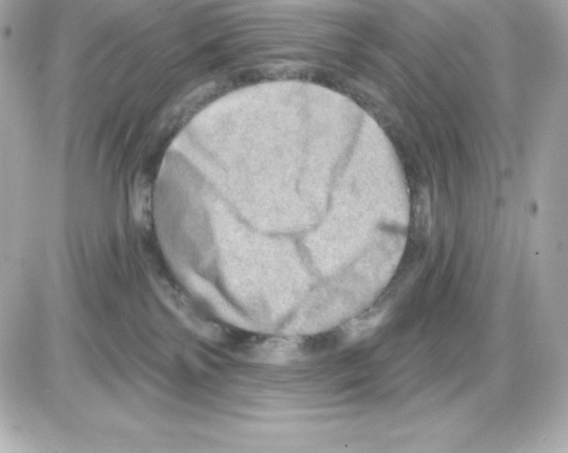 X0000085240138200704092033