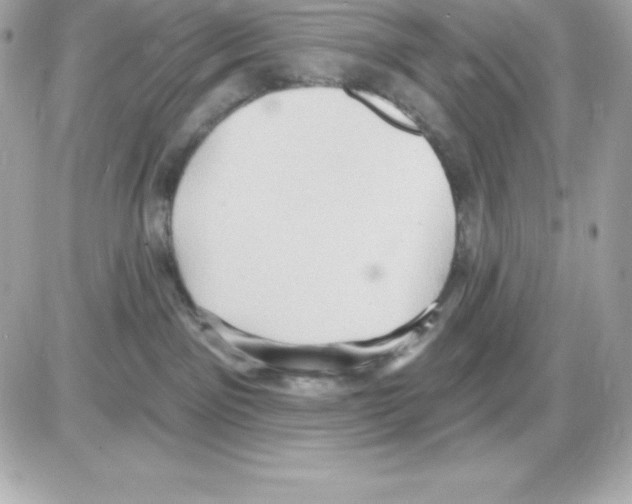 X0000085240141200704092033