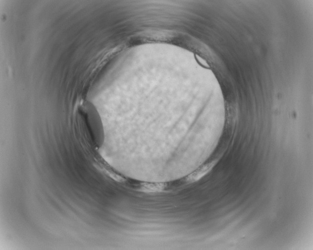 X0000085240143200704092033