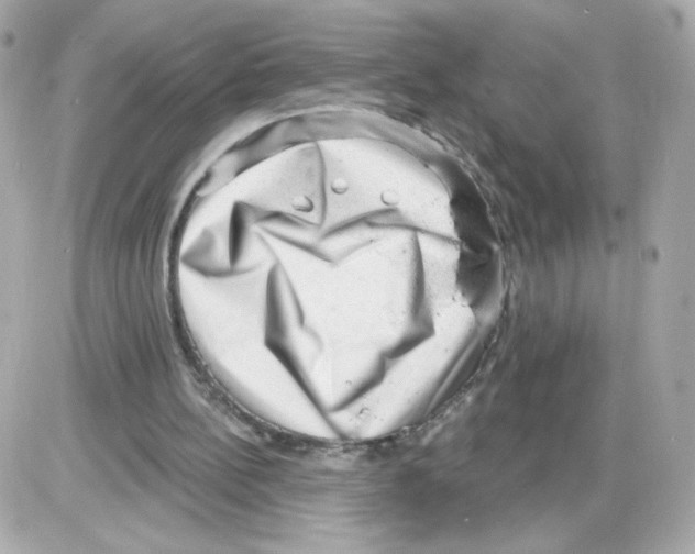 X0000085240148200704092032