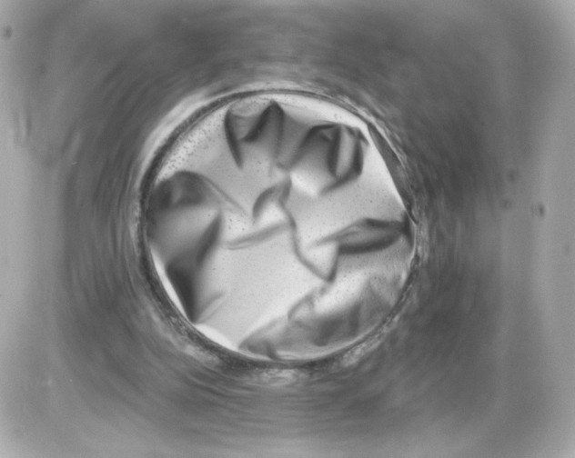 X0000085240152200704092032
