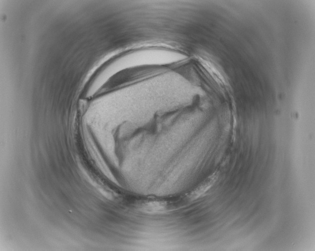 X0000085240156200704092032