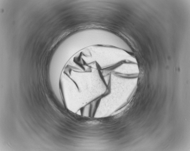 X0000085240158200704092032