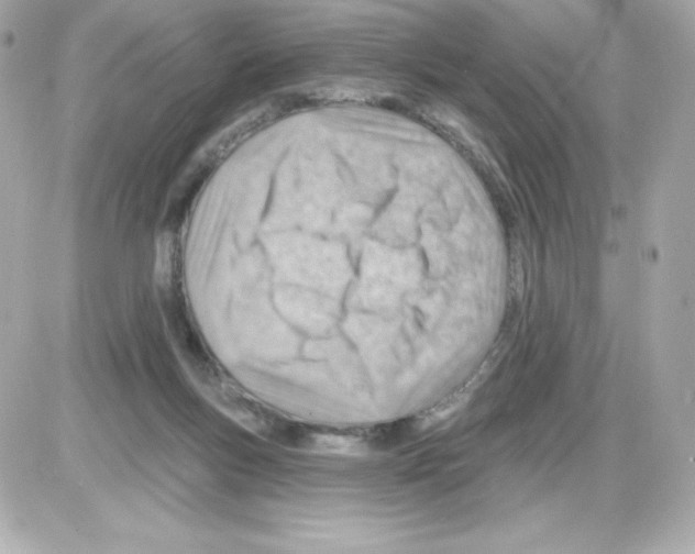X0000085240167200704092032