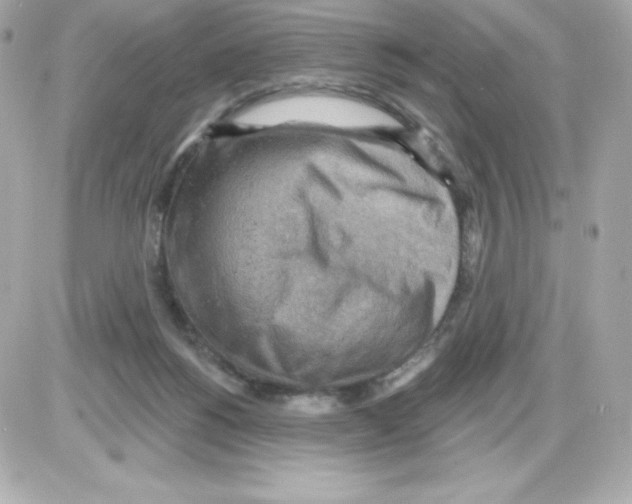 X0000085240168200704092032