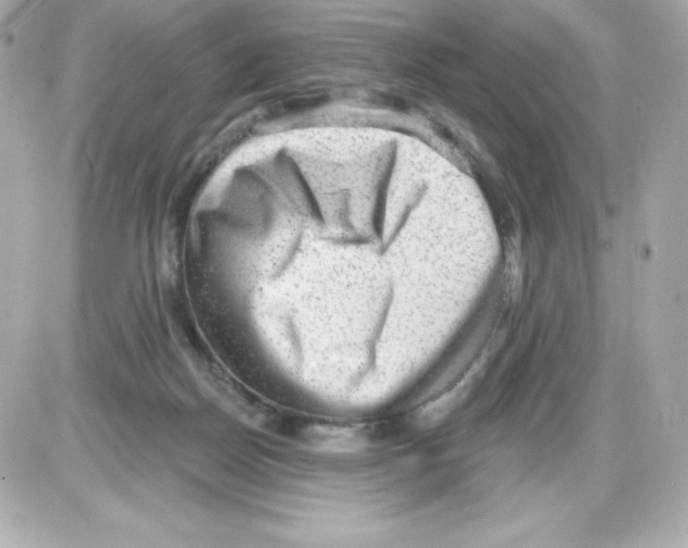 X0000085240170200704092032