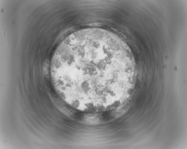 X0000085240175200704092032