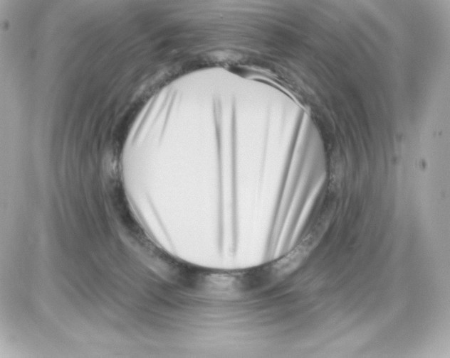 X0000085240176200704092032