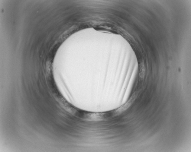 X0000085240184200704092032