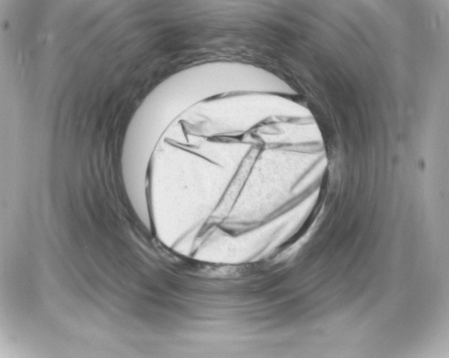 X0000085240186200704092033