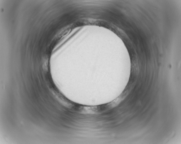 X0000085240188200704092033
