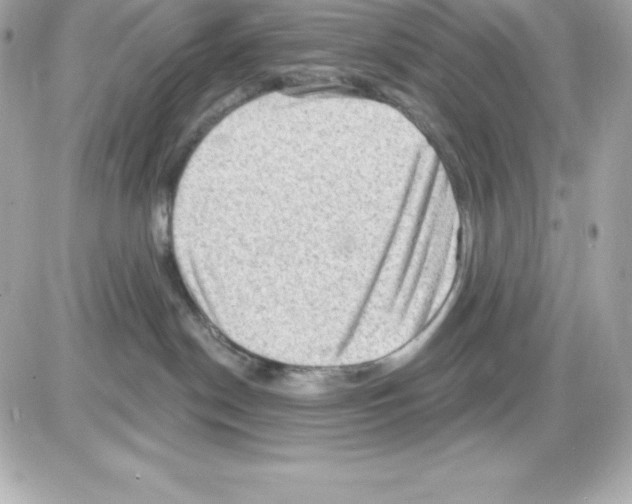 X0000085240190200704092033