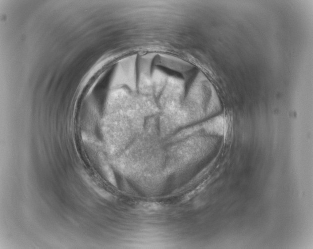 X0000085240195200704092032