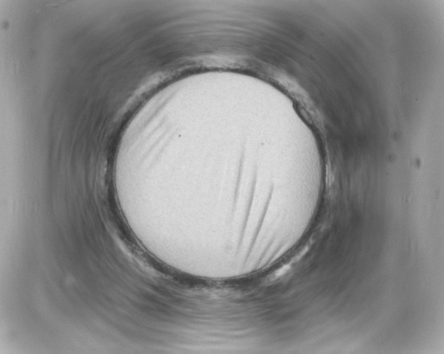 X0000085240201200704092032
