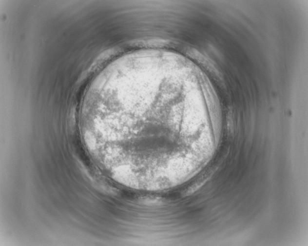 X0000085240206200704092032
