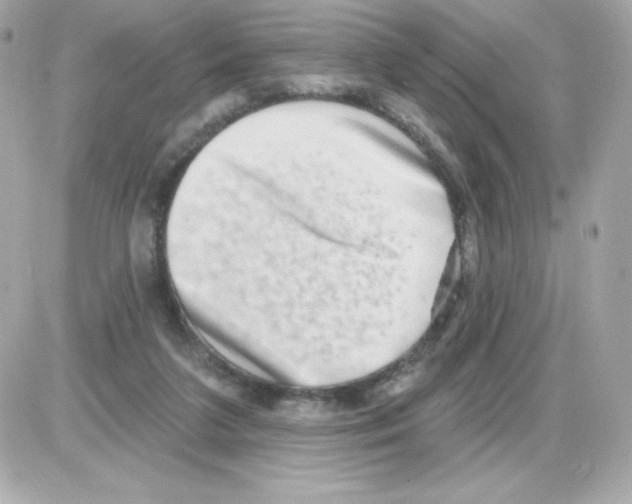 X0000085240211200704092032