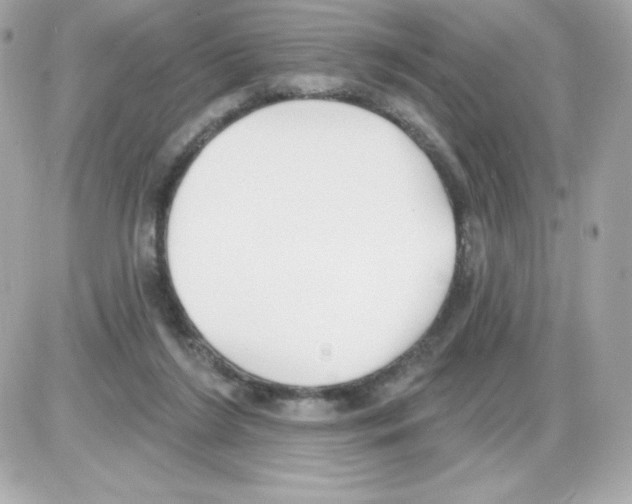 X0000085240212200704092032