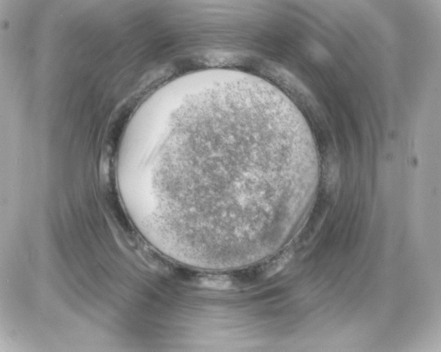 X0000085240214200704092031