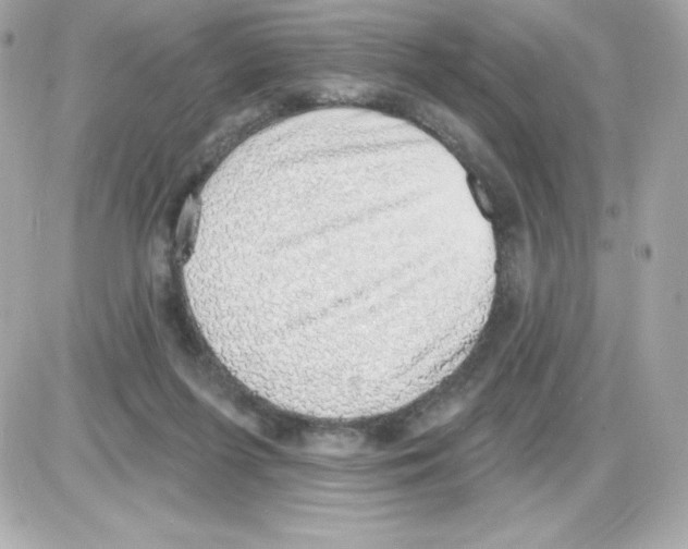 X0000085240215200704092031