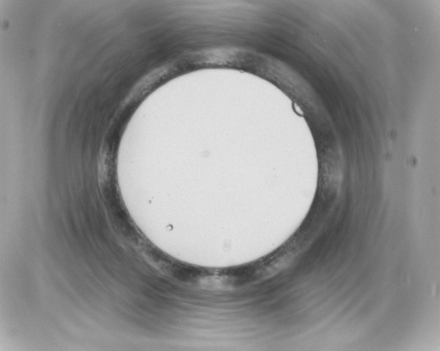 X0000085240216200704092031