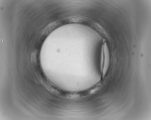 X0000085240217200704092031