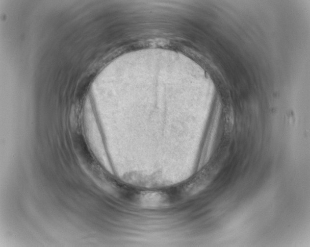 X0000085240218200704092031