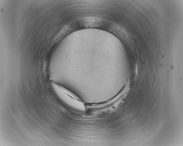 X0000085240219200704092031