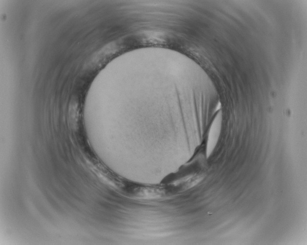 X0000085240223200704092031