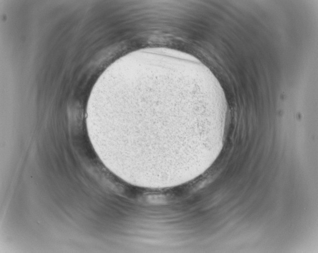 X0000085240228200704092031
