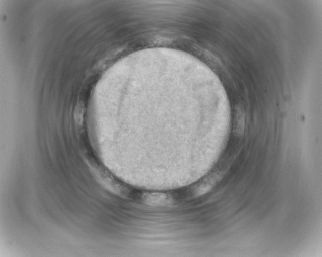 X0000085240230200704092031