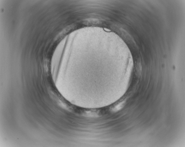 X0000085240232200704092031