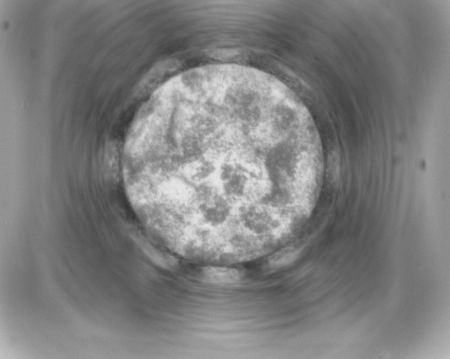 X0000085240234200704092031