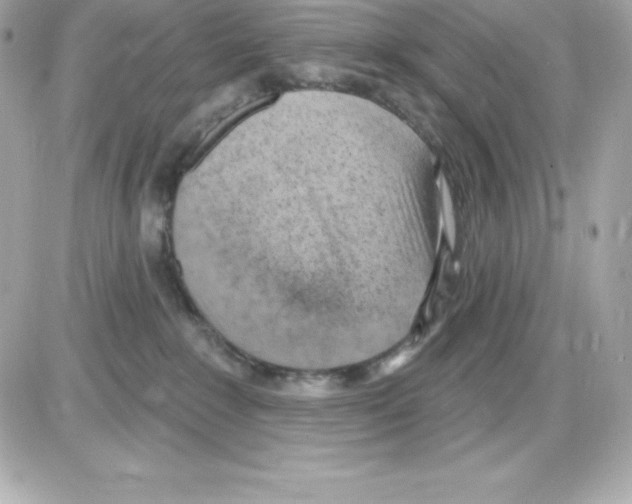 X0000085240235200704092031