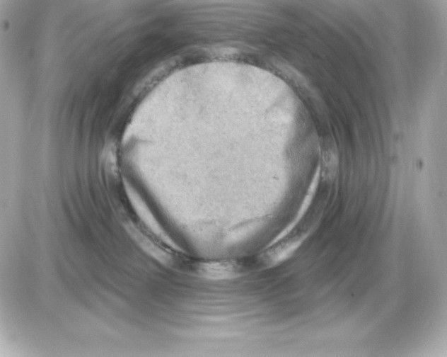 X0000085240238200704092031