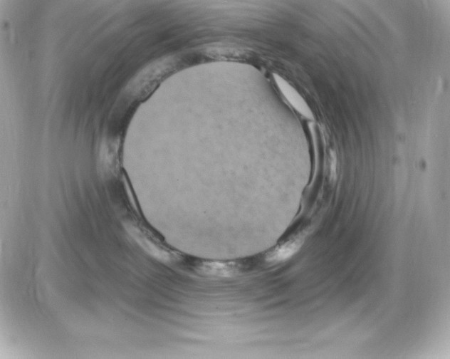 X0000085240239200704092031