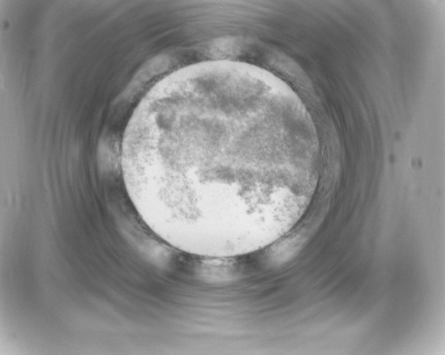 X0000085240240200704092031